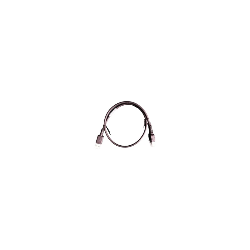 DS55: USB Cable: 2 ft.