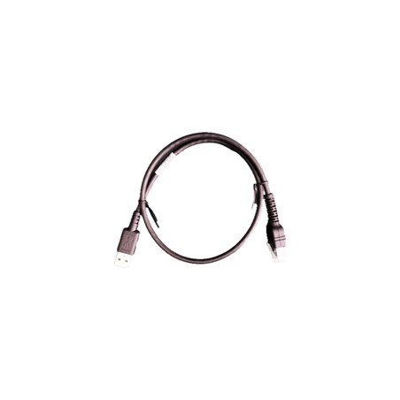 DS55: USB Cable: 2 ft.