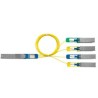 HPE Aruba Networking 4X100G F-Stock/.