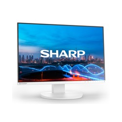 DD-EA241W WHITE 24IN/IPS 1920X1200 16:10 5MS 1000:1 3