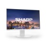 NEC DD-EA272F White 27IN/LCD FHD 1920X1080 16:9 6MS 1000: