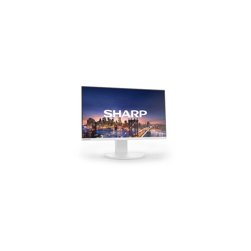 NEC DD-EA241F White 24IN/IPS 1920 X 1080 1000:1 250CD