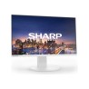NEC DD-EA242F White 24IN/IPS 1920 X 1080 1000:1 250CD