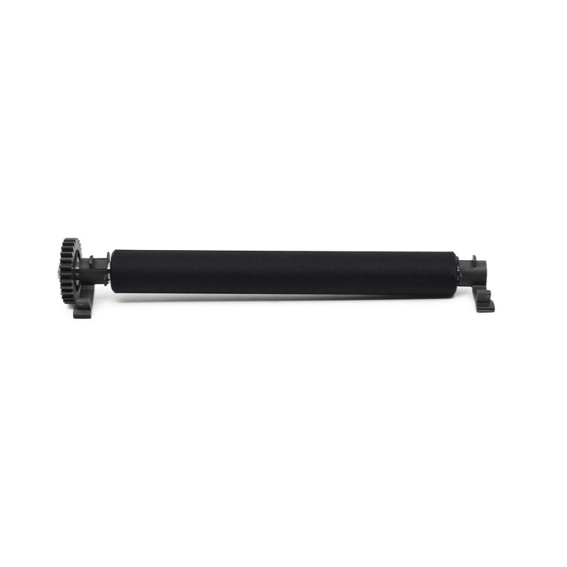Kit, Platen Roller with bearings, ZD220, ZD230, ZD888 Thermal Transfer