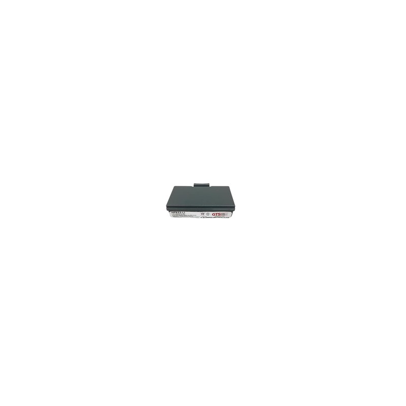 GTS Electronics Portable PRNT BATT PB 21/22/31/32 LI-Ion 2500MAH 7.4V
