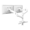Ergotron LX Pro Arm Dual Display/Stacking Grommet Mount ESW