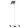 Compulocks Universal Tablet Cling/Brandable Floor Stand - White