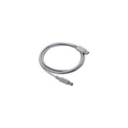 Cable, USB, Type A, Straight, CAB-438, 6.5 ft.
