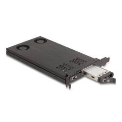 Delock - Adaptér rozhraní - M.2 - M.2 NVMe Card - PCIe 4.0 x16 47042