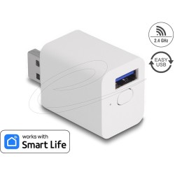 Delock - Chytrý switch - WLAN, EASY-USB - bezdrátový - 802.11b/g/n - 2.4 Ghz - bílá