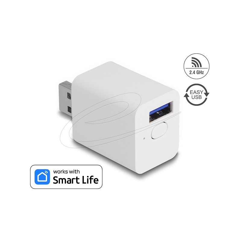 Delock - Chytrý switch - WLAN, EASY-USB - bezdrátový - 802.11b/g/n - 2.4 Ghz - bílá