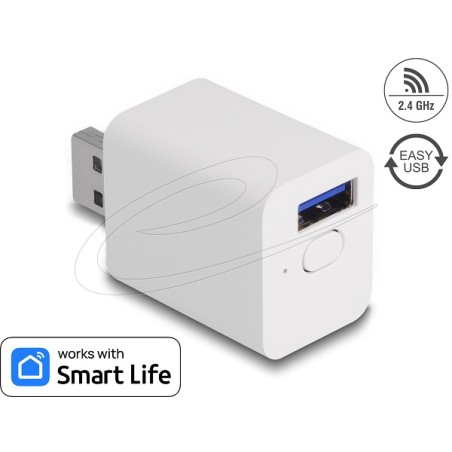 Delock - Chytrý switch - WLAN, EASY-USB - bezdrátový - 802.11b/g/n - 2.4 Ghz - bílá