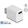 Delock - Chytrý switch - WLAN, EASY-USB - bezdrátový - 802.11b/g/n - 2.4 Ghz - bílá
