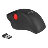 Delock Ergonomic - Myš - ergonomický - pravák - optický - 3 tlačítka - bezdrátový - 2.4 GHz - bezdrátový přijímač USB - černá