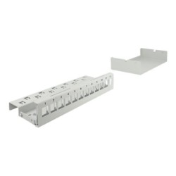 Delock - Záslepný patch panel keystone - montáž na stěnu, montáž na kolejnici DIN - šedá - 12 portů