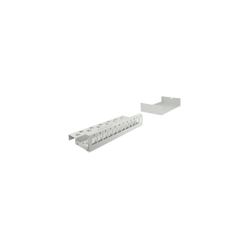 Delock - Záslepný patch panel keystone - montáž na stěnu, montáž na kolejnici DIN - šedá - 12 portů