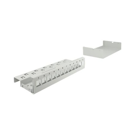 Delock - Záslepný patch panel keystone - montáž na stěnu, montáž na kolejnici DIN - šedá - 12 portů