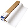 Epson fotopapír, 432/12.2/Paper Roll PremierArt Water Resistant Canvas Roll, vodeodolný, 17", C13S041846, 350 g/m2, papír
