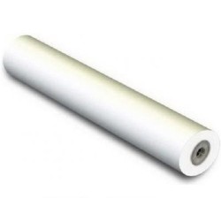 Epson 419/30.5/Premium Glossy Photo Paper, lesklý, 16.5", C13S042076, 170 g/m2, papír, 419mmx30.5m, bílý, pro inkoustové