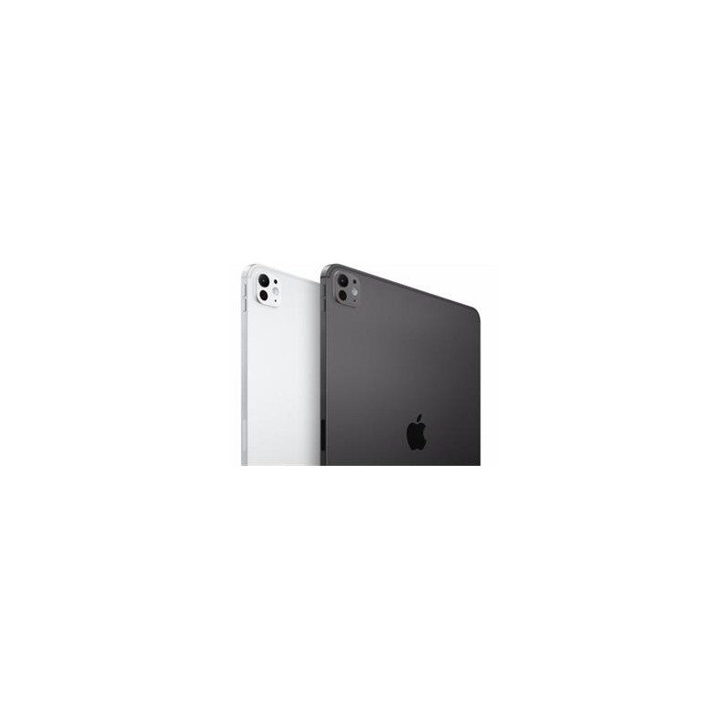 Apple iPad Pro 13'' Wi-Fi 1TB with standard glass - Silver