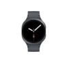 Samsung Galaxy Watch8 (40mm) LTE grafitová, EU