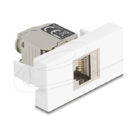 Delock - Easy 45 - zacvakávací modul - CAT 6a, s LED - RJ 45 - 1 souprava - bílá, stríbrná