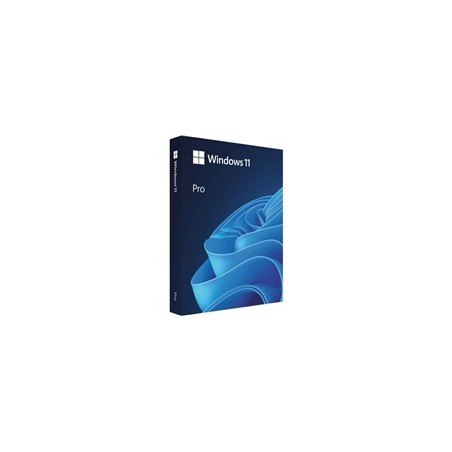 Windows Pro 11 64-bit Czech USB