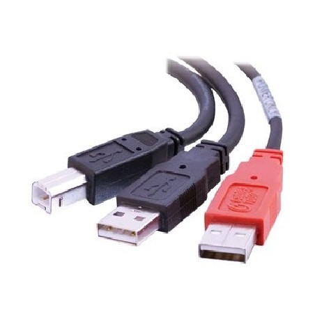 C2G "Y" Cable - Kabel USB - USB typ B (M) do USB, USB (pouze napájení) (M) - USB 2.0 - lisovaný