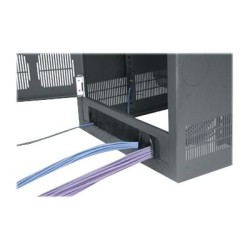 C2G 19SP BGR Rear Cable Door