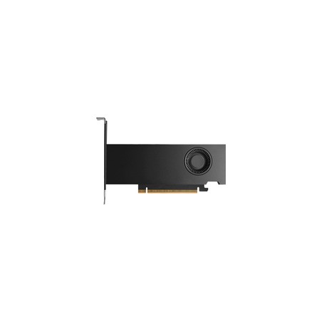 DELL NVIDIA RTX PRO 2000 BLACKW/16 GB GDDR7 PCIE 5.0X8 4 MDP DELL818KR