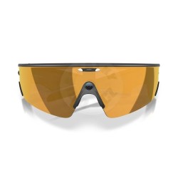 Meta Oakley Vanguard prizm 24k Lenses, black Frame