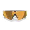 Meta Oakley Vanguard prizm 24k Lenses, black Frame