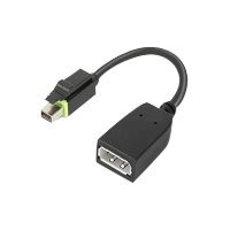 ThinkStation Mini DP to DP Adapter