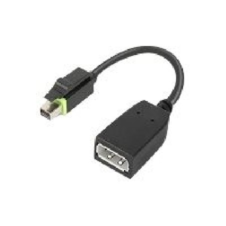 ThinkStation Mini DP to DP Adapter