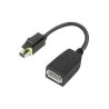 ThinkStation Mini DP to DP Adapter