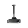 KITEC030045B, Chief KITEC030045B