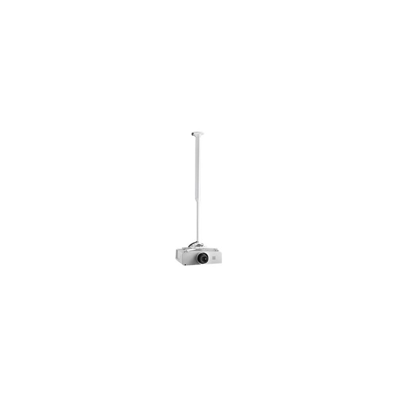 KITEC080135W, Chief KITEC080135W