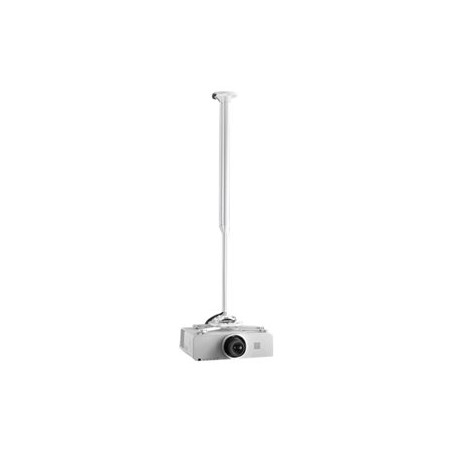 KITEC080135W, Chief KITEC080135W