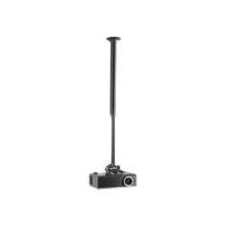 KITEC080135B, Chief KITEC080135B