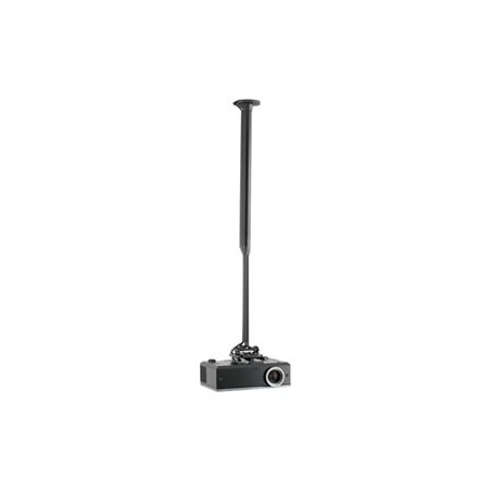 KITEC080135B, Chief KITEC080135B