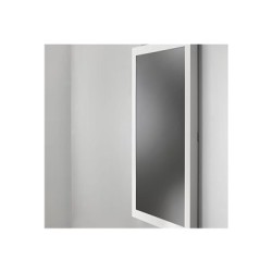 C2G LWG-43CL, Protective Glass Wall Kiosk 43 Class
