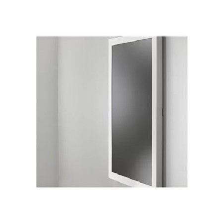 C2G LWG-43CL, Protective Glass Wall Kiosk 43 Class