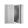 C2G LWG-43CL, Protective Glass Wall Kiosk 43 Class
