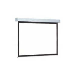 Projecta Elpro Large Electrol WS 290x390