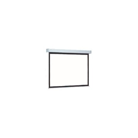 Projecta Elpro Large Electrol WS 290x390