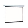 Projecta Elpro Large Electrol WS 290x390