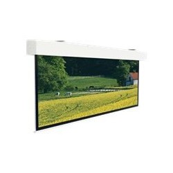 Projecta Elpro Large Electrol WS 248x440