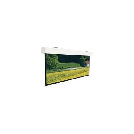 Projecta Elpro Large Electrol WS 248x440