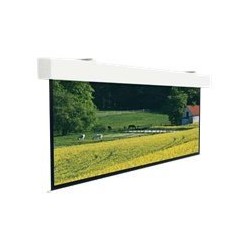 Projecta Elpro Large Electrol WS 219x390