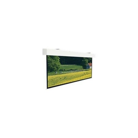 Projecta Elpro Large Electrol WS 330x440
